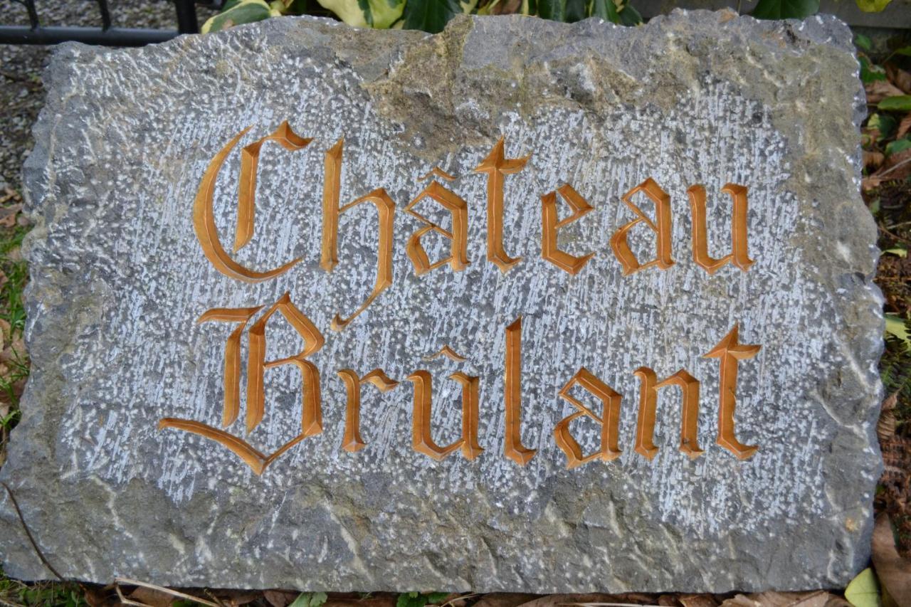 Chateau Brulant Somme-Leuze Εξωτερικό φωτογραφία